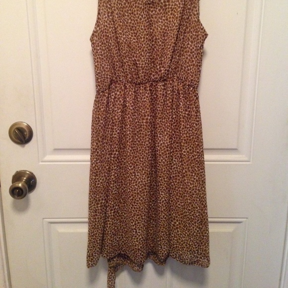H&M Women's  US 4 Animal Print Beige Brown Dress‎ - Picture 7 of 7